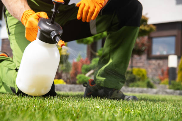 Best Pest Inspection Near Me  in Rogers, TX