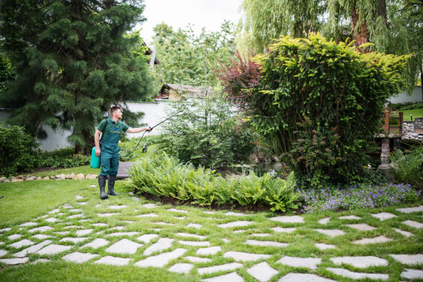 Best Best Pest Control Companies  in Rogers, TX