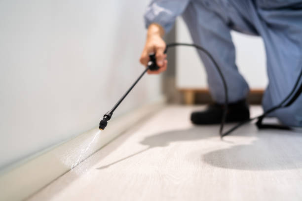 Flea Control Services in Rogers, TX