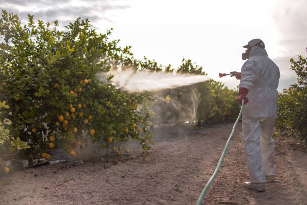 Best Pest Removal Services  in Rogers, TX