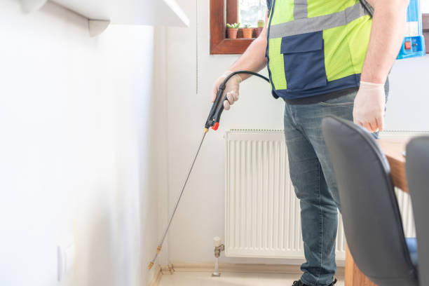 Best Wasp Removal Services  in Rogers, TX