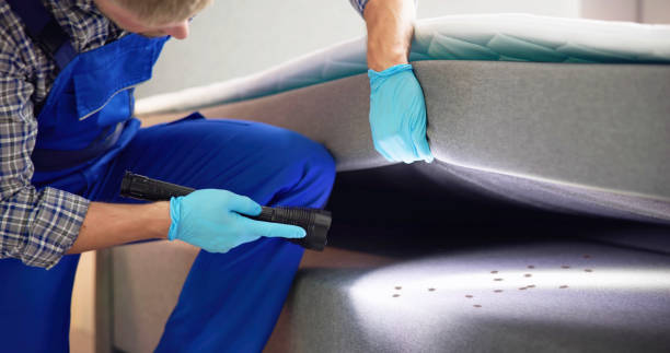 Best Termite Control Services  in Rogers, TX