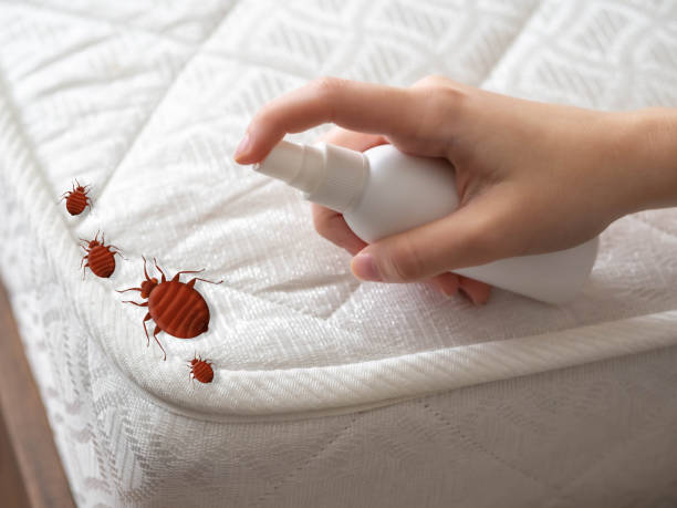 Best Exterminator Services  in Rogers, TX