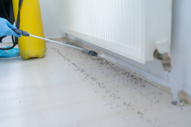 Best Affordable Pest Control Services  in Rogers, TX